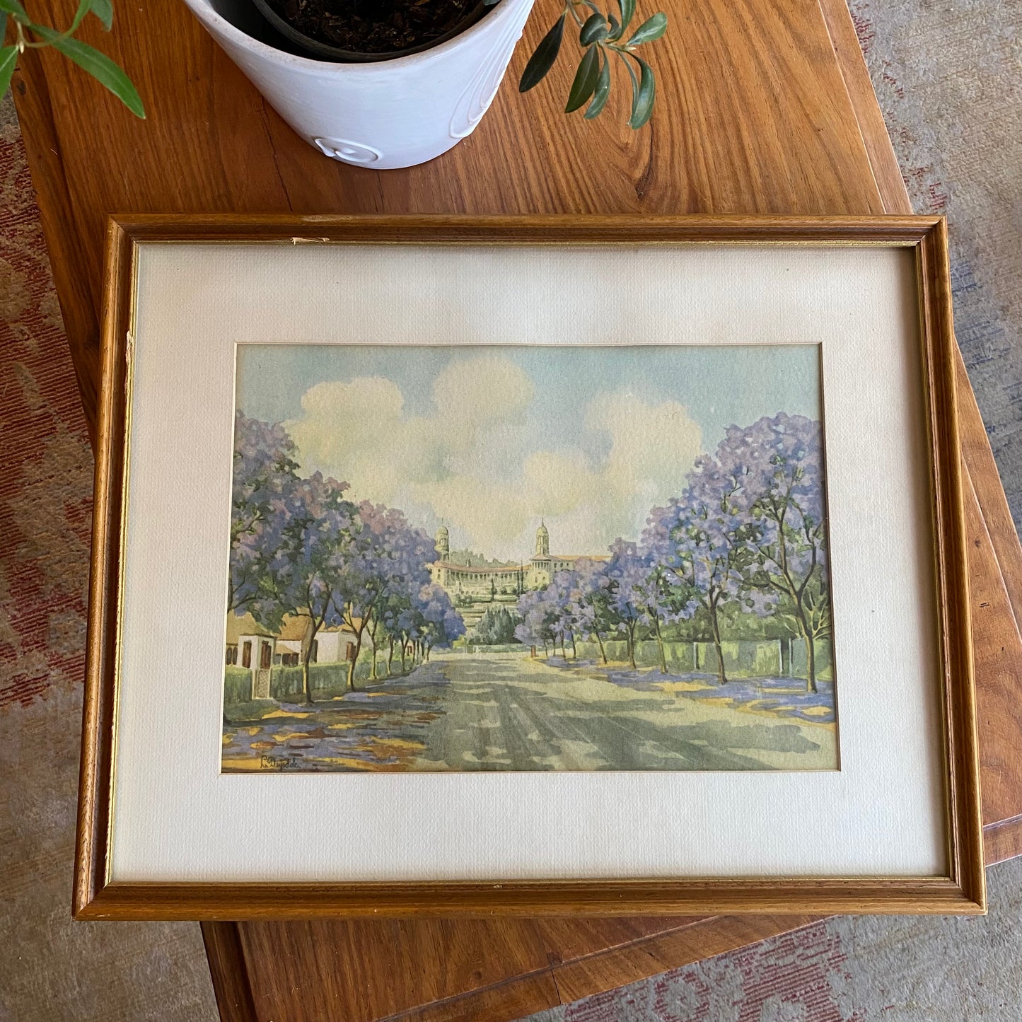 Pretoria in full bloom