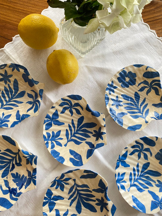 Decorated shells
