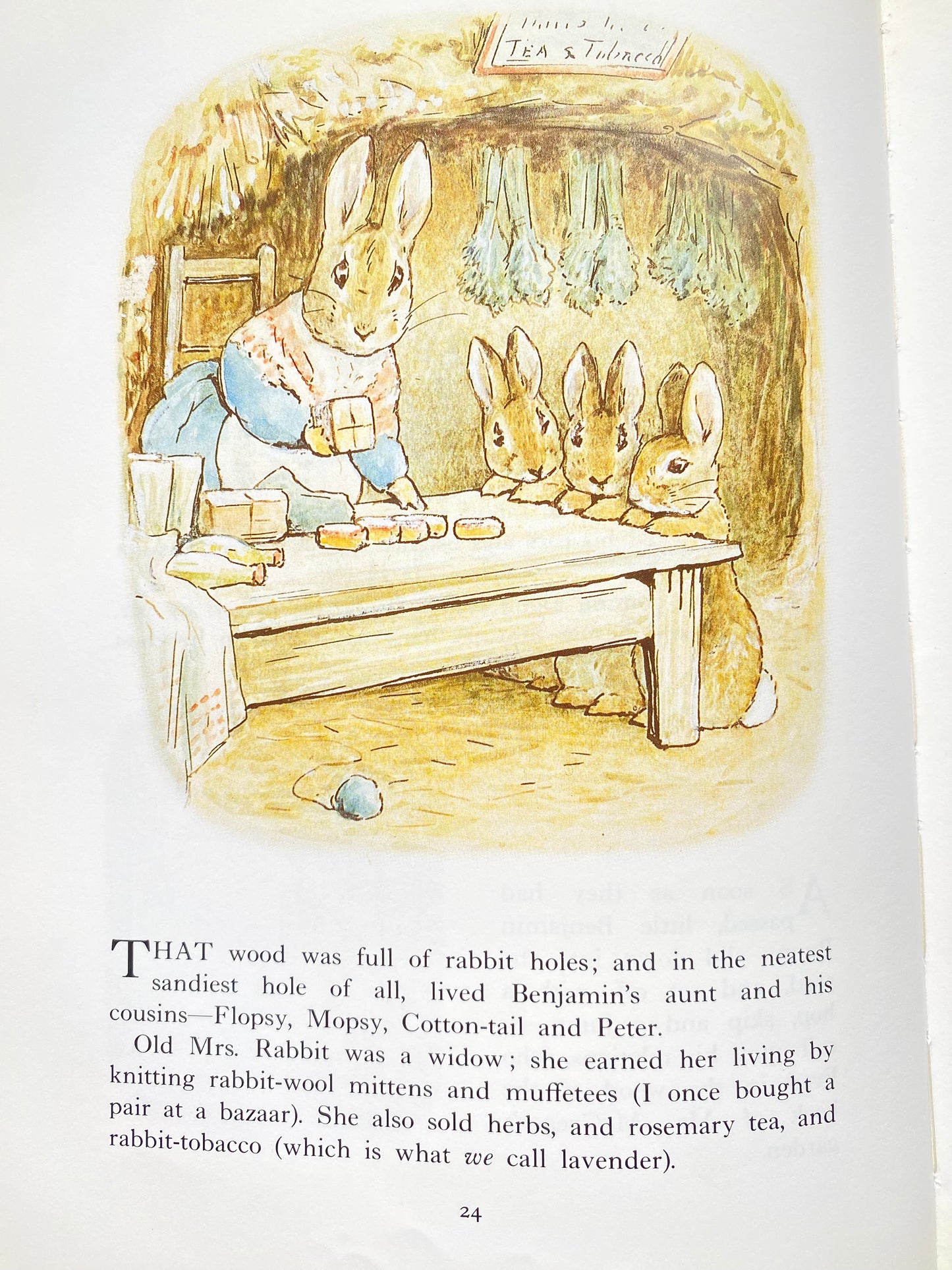 Peter Rabbit
