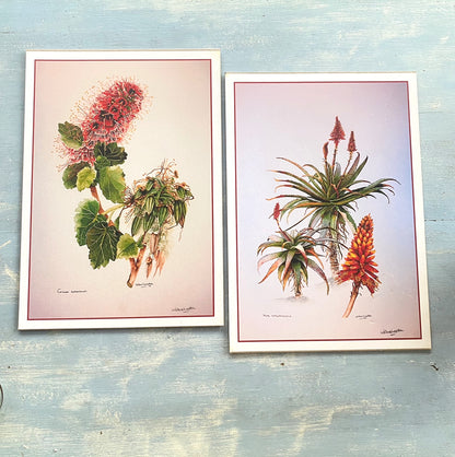 Botanical prints