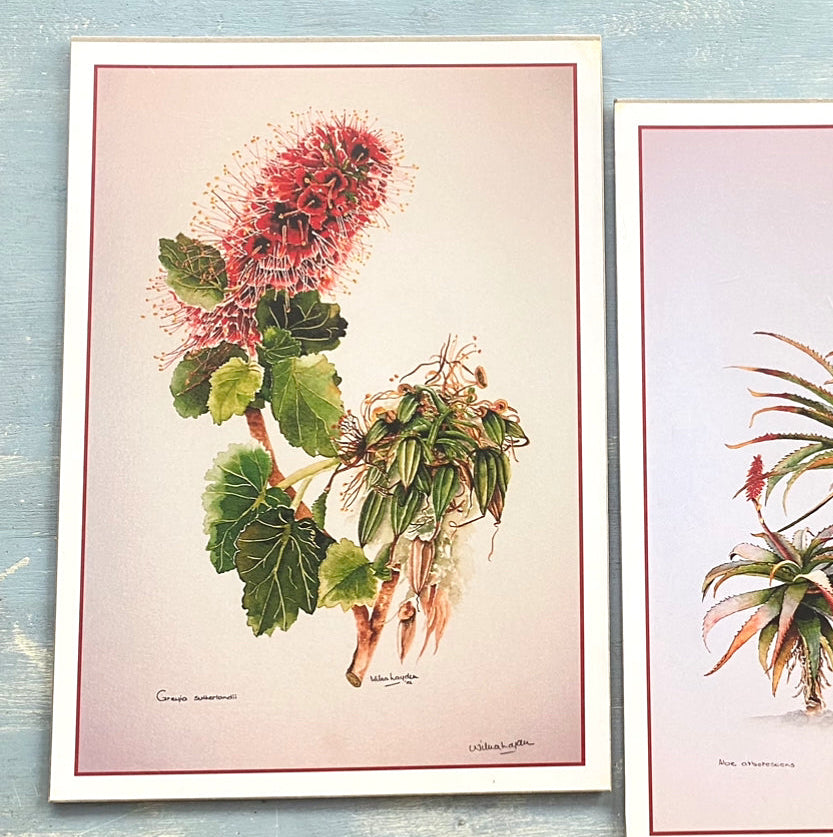 Botanical prints