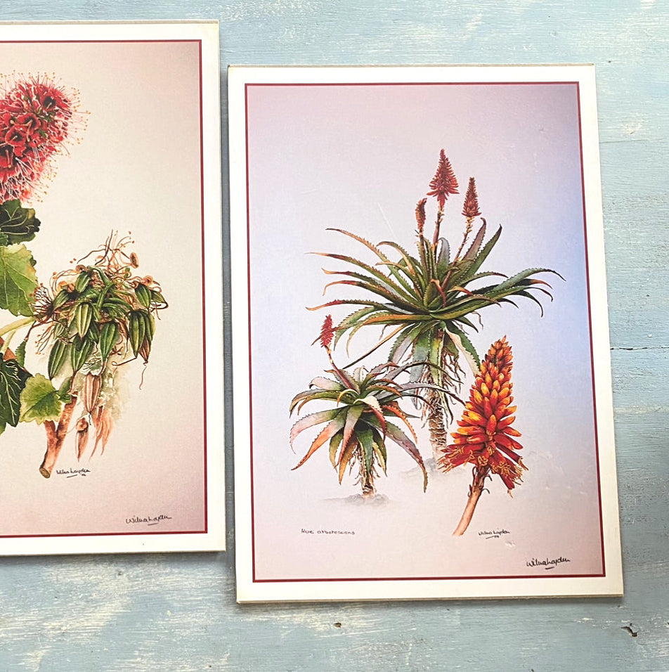 Botanical prints