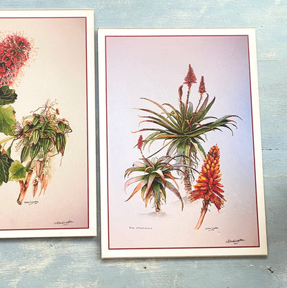 Botanical prints